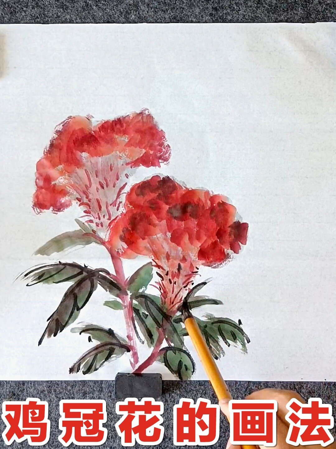 国画鸡冠花的画法,写意鸡冠花,简单、易懂