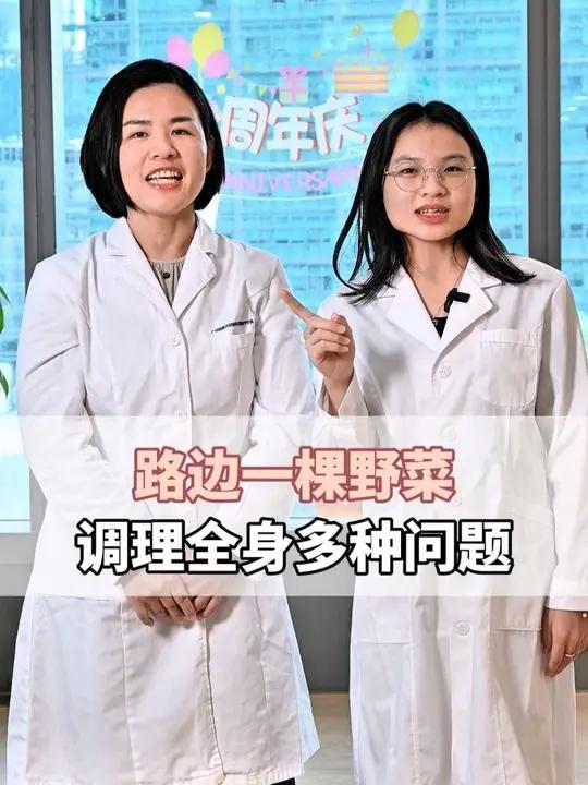 路边一棵野菜,调理全身多种问题