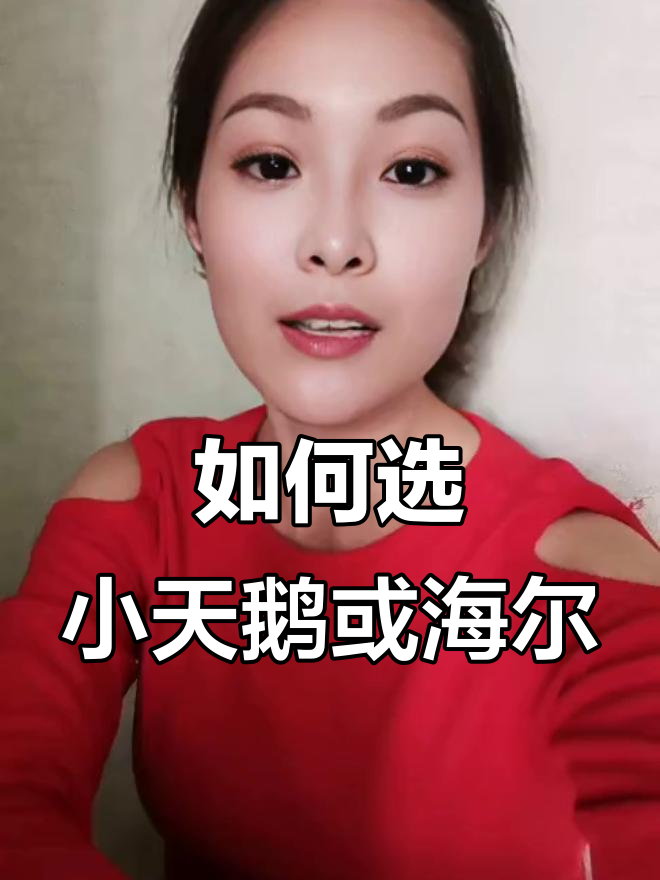 小天鹅与海尔洗衣机选择指南，洗净技术全解析