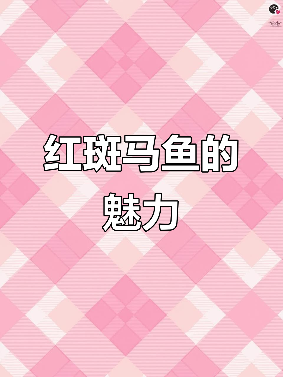 你养过红斑马鱼吗?它们超有趣!