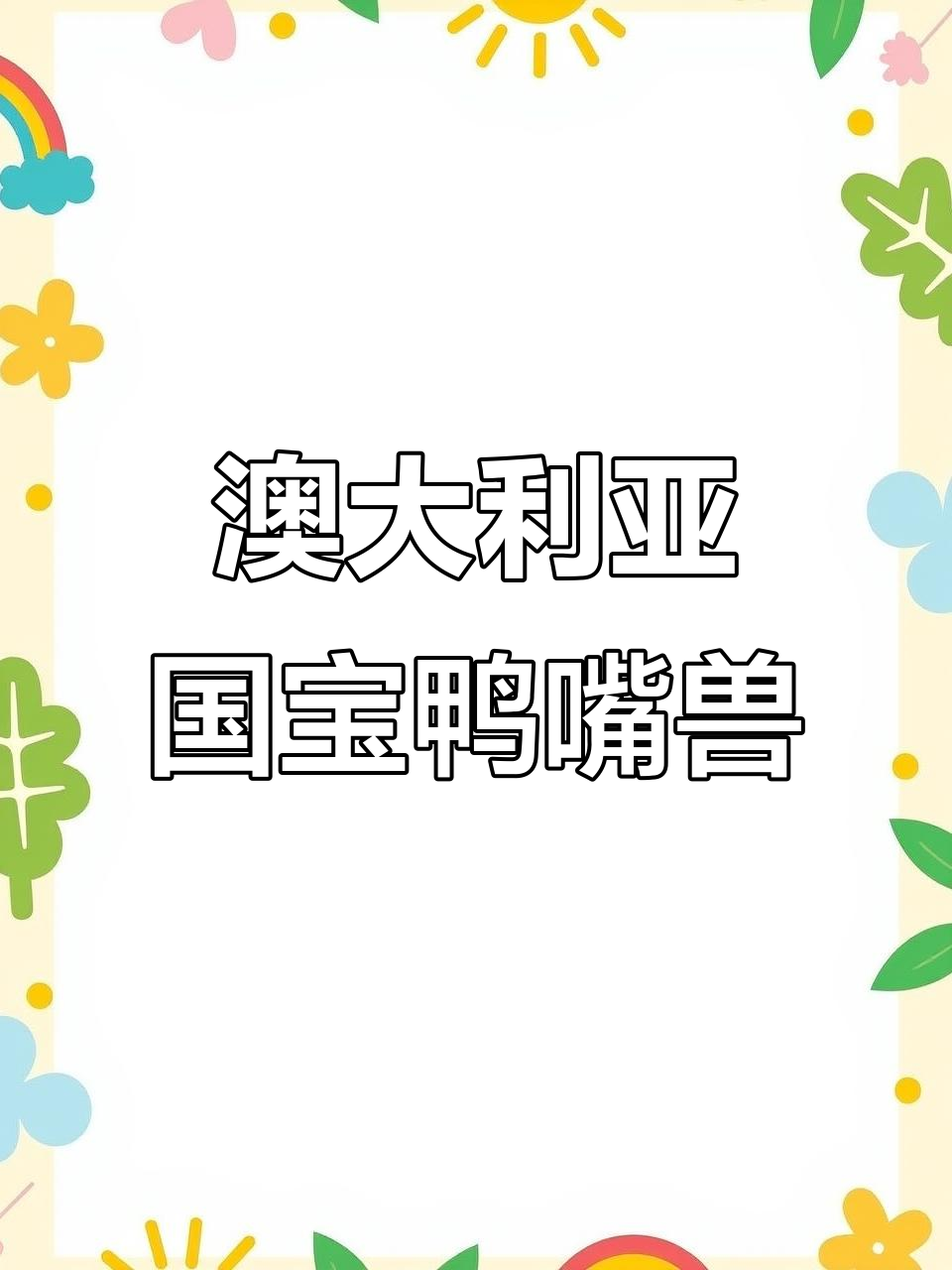 澳大利亚的神秘鸭嘴兽,揭秘独特生理特征