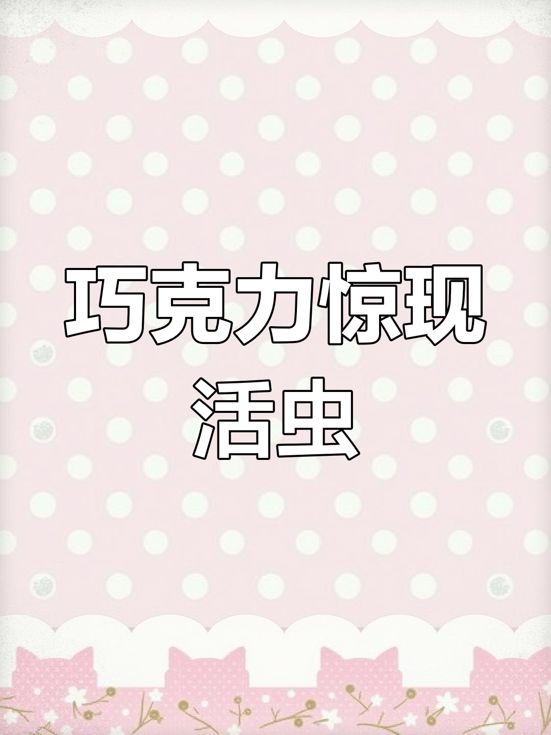 男子超市买巧克力,拆开竟发现活蛆!保质期内却已变质