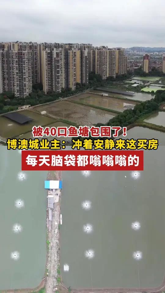 40口鱼塘围着住宅,增氧机24小时工作!佛山一班业主:每天脑袋都嗡嗡嗡的!物管:先有鱼塘后