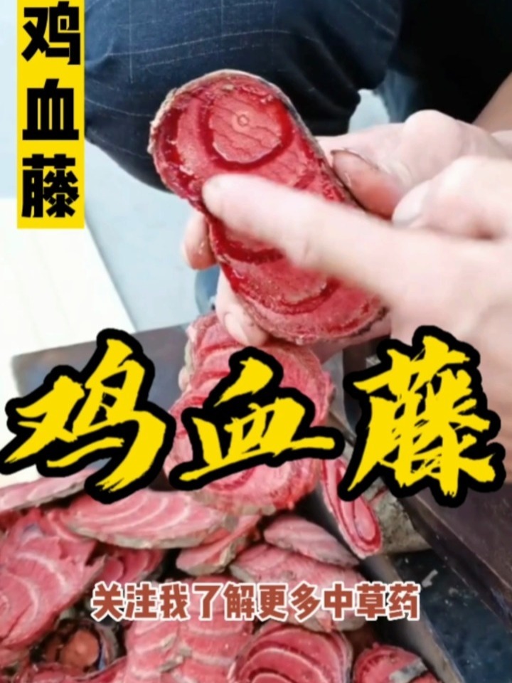 鸡血藤你们见过吗?