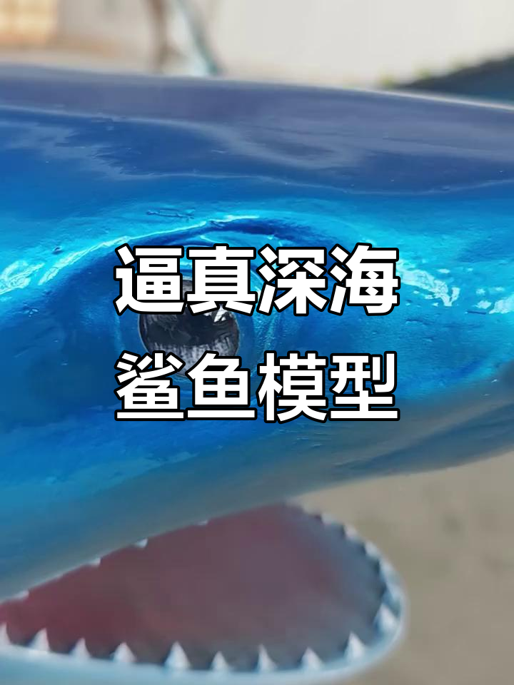 1.8米仿真鲨鱼模型，细节完美震撼力十足