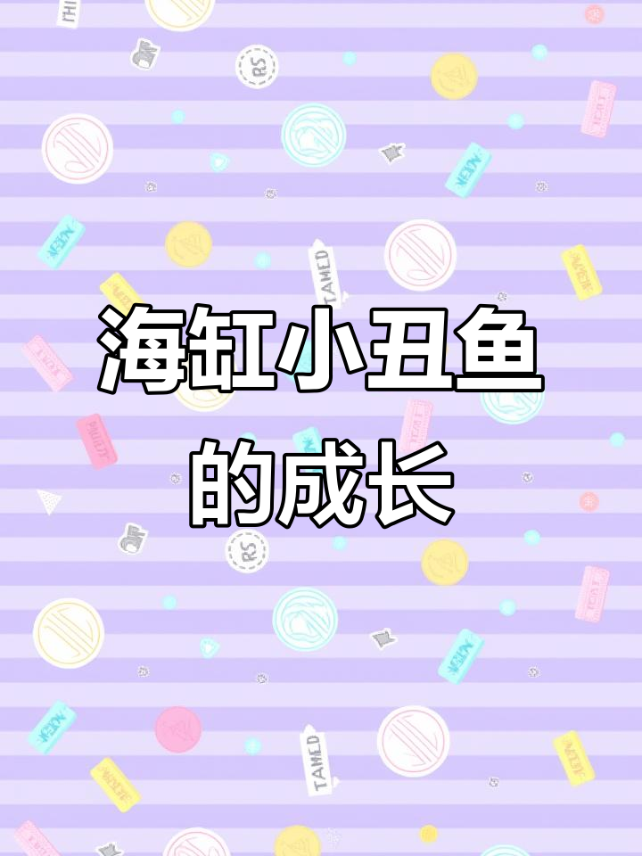 小丑鱼品种大揭秘:从奥黑公子到普通公子的变化