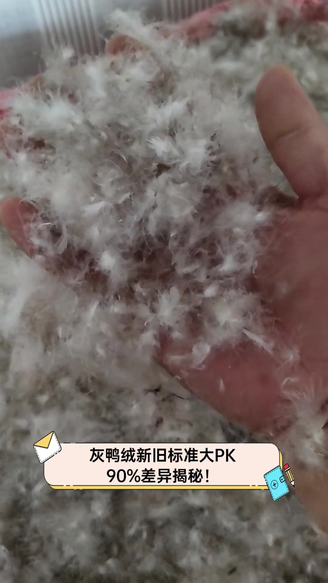 灰鸭绒新旧标准大PK,90%差异揭秘!