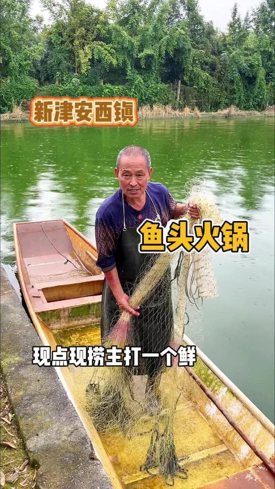 鱼塘现捞的鱼头火锅,还真不是哪里都吃的到的!