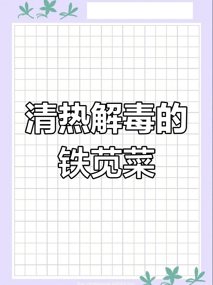 铁苋菜的药用功效与特色