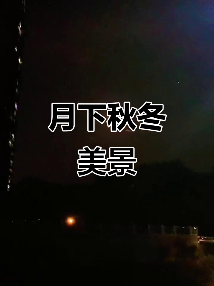 秋冬月色下的美丽夜晚,感受宁静与温暖