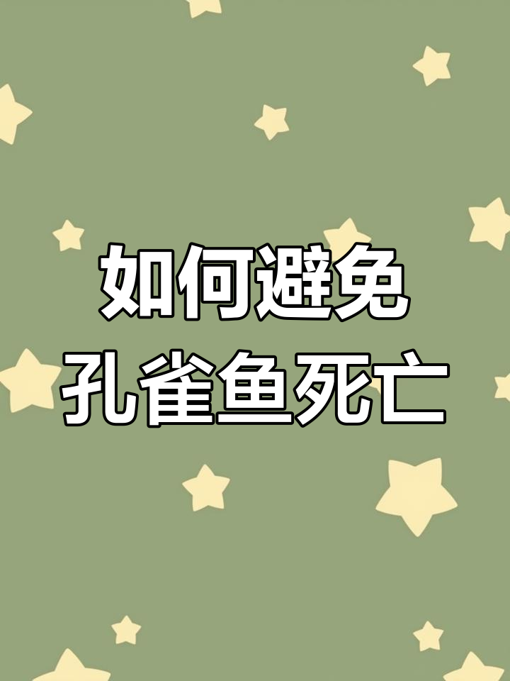 孔雀鱼养不活?这些常见问题你遇到过吗