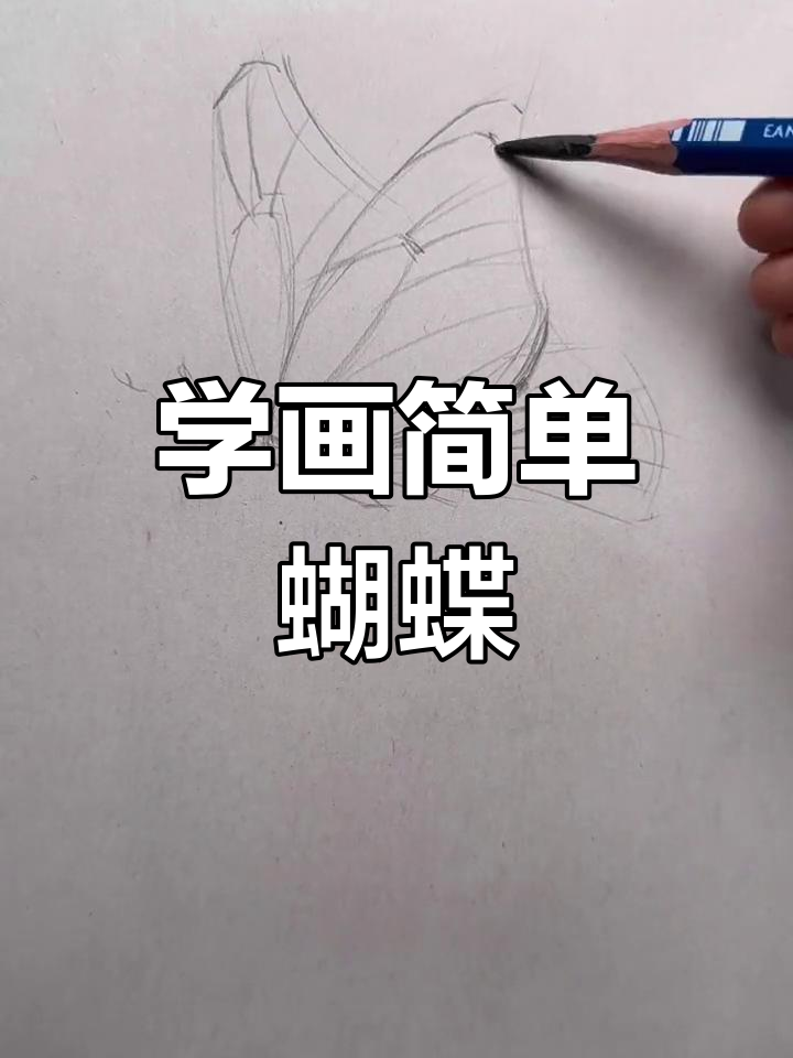 轻松掌握素描蝴蝶绘制技巧