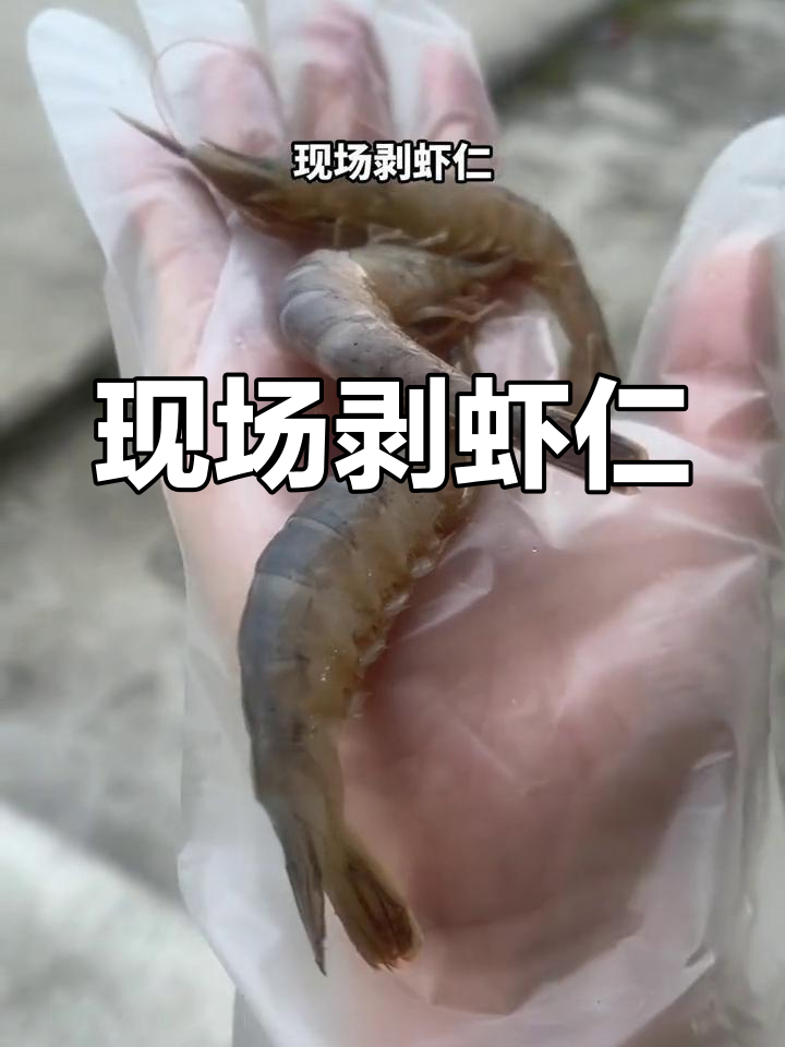 毛虾剥成虾仁,口感像金钩但颜值不高