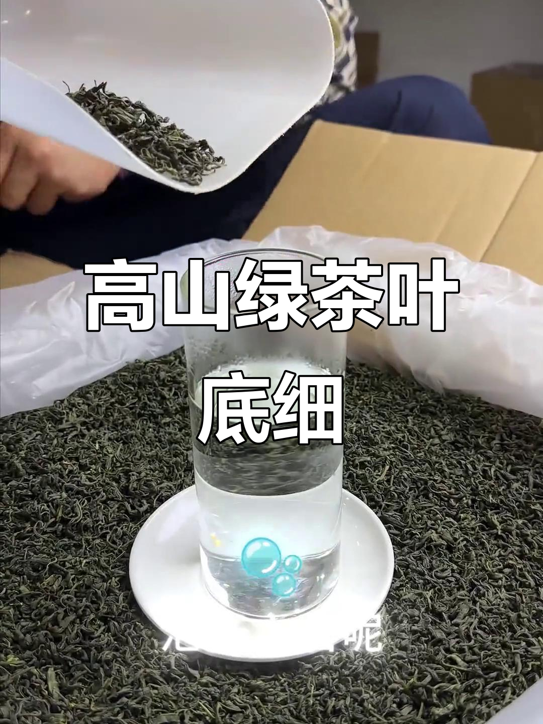 2025高山绿茶,豆香浓郁春茶体验
