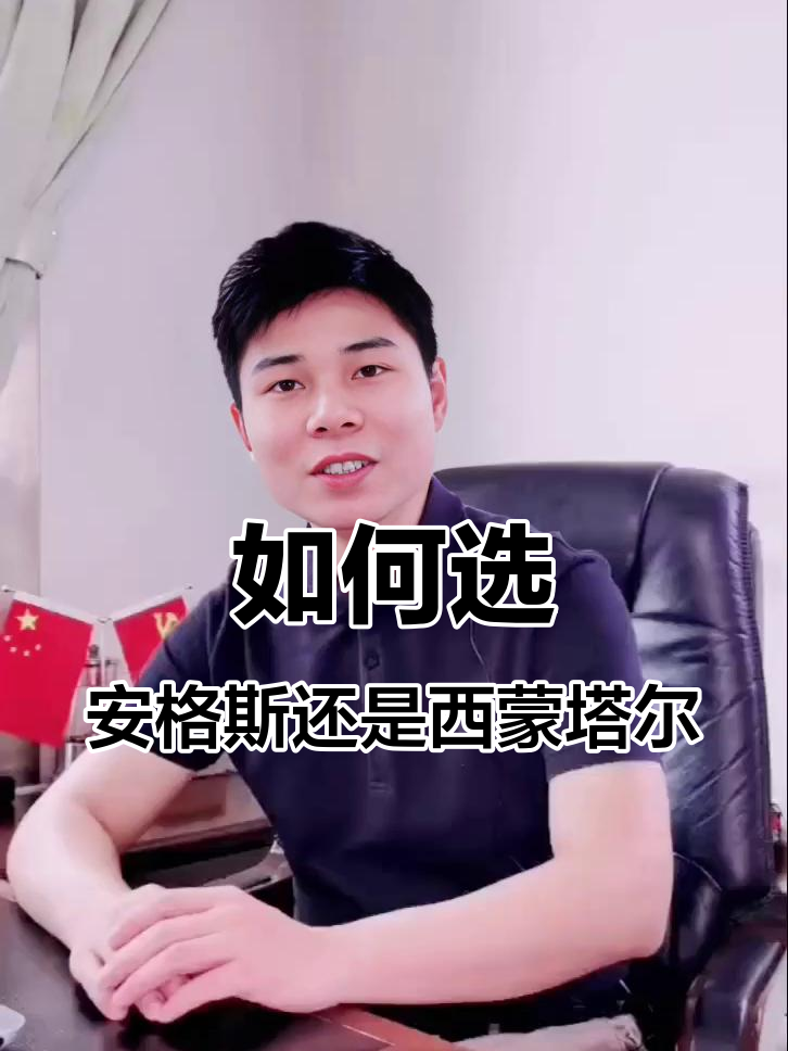 安格斯与西门塔尔牛选择指南:哪种更适合你?