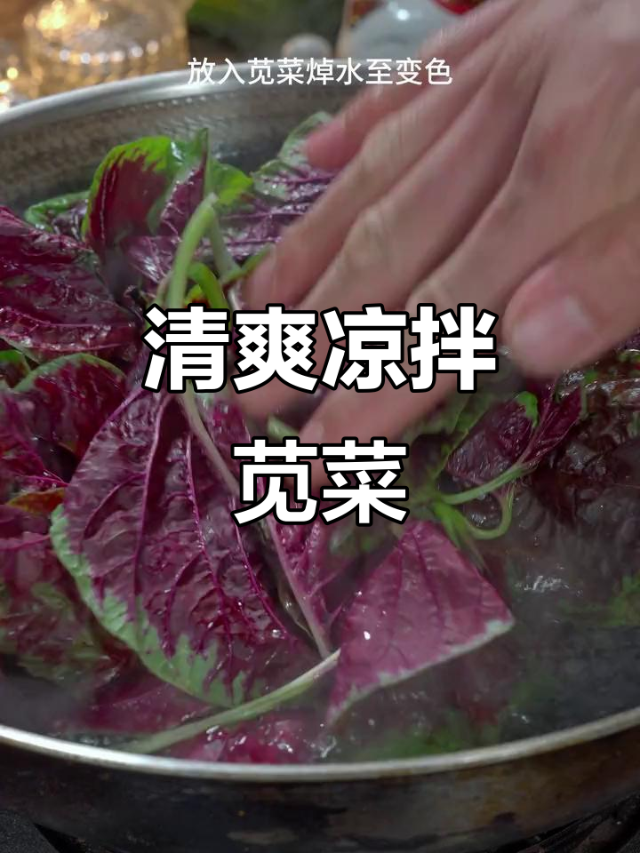 夏季爽口凉拌苋菜,简单又营养