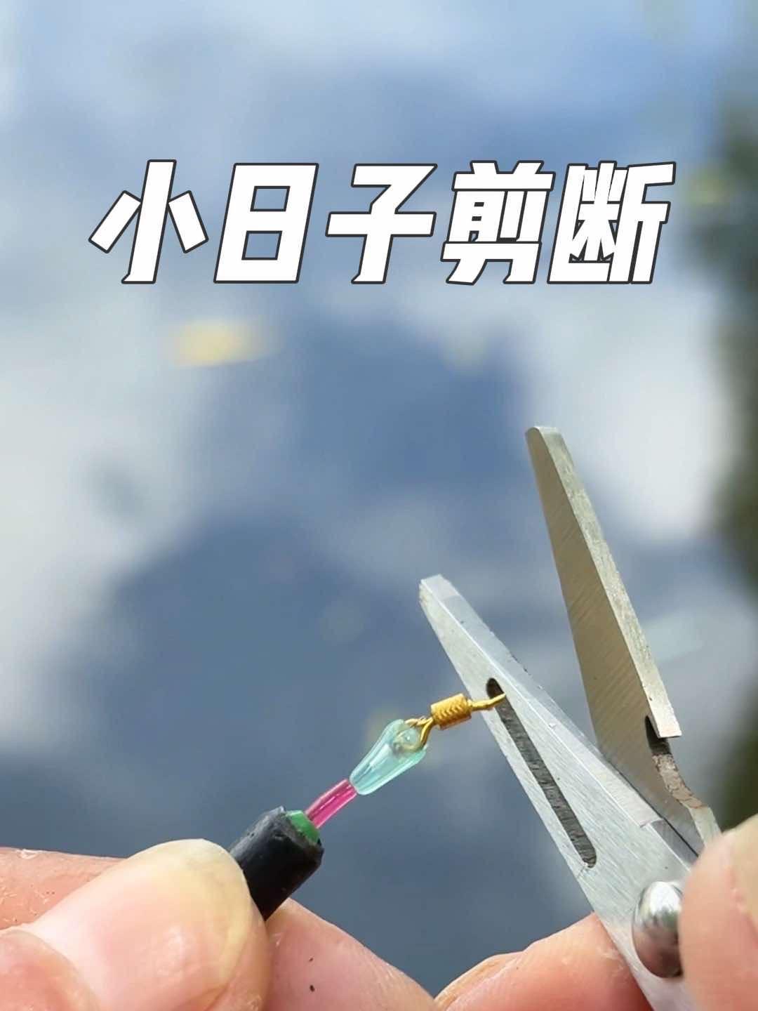 原创视频 户外钓鱼 钓鱼剪刀 什么小日子、泡菜的8字环我统统剪断它
