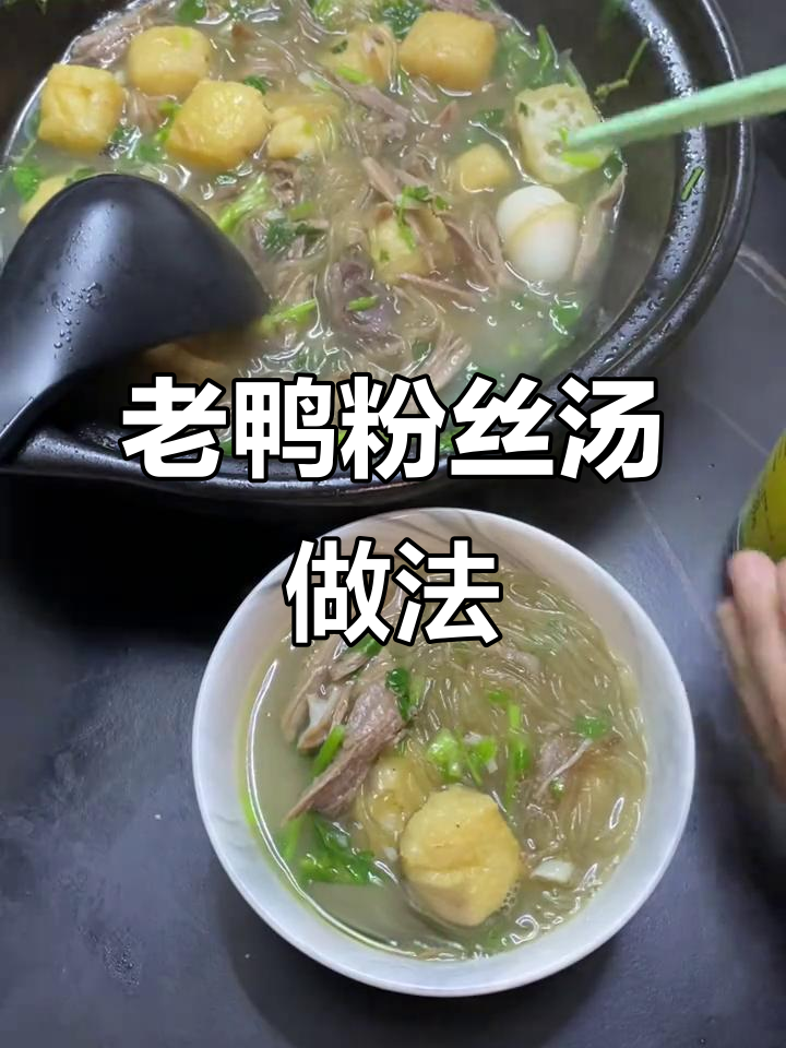 家庭版老鸭粉丝汤,简单又美味,快来学做!