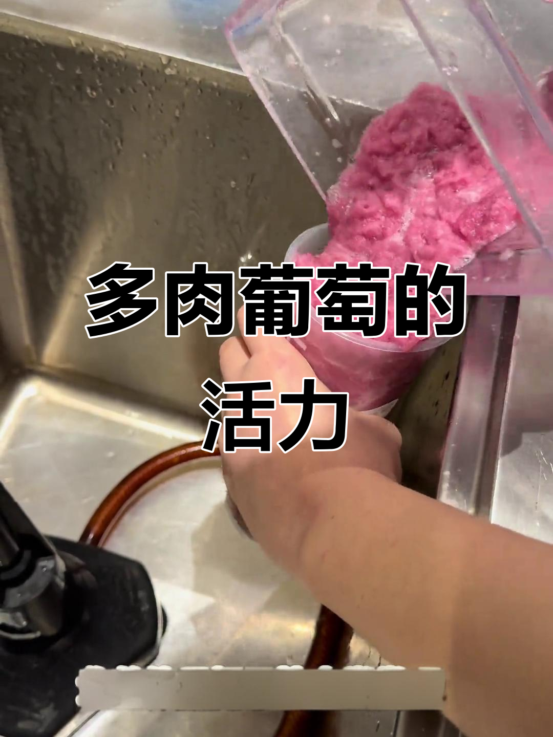 保持热情,享受每一刻,来杯多肉葡萄,活力满满!