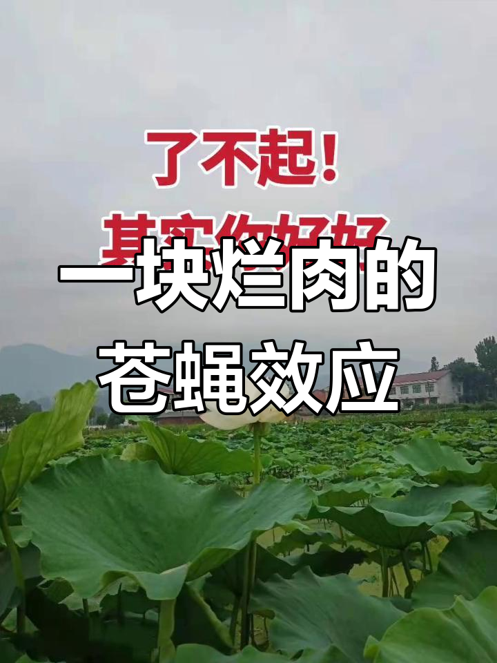 烂肉吸引苍蝇,自以为美的她到底有多丑?