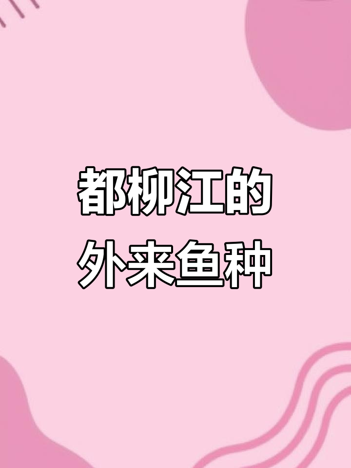 沙塘鳢:都柳江的神秘外来物种,像虎头鲨又似笋壳鱼