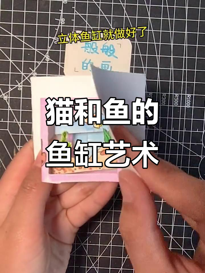 鱼缸立体装饰教程:猫咪与水草的完美结合