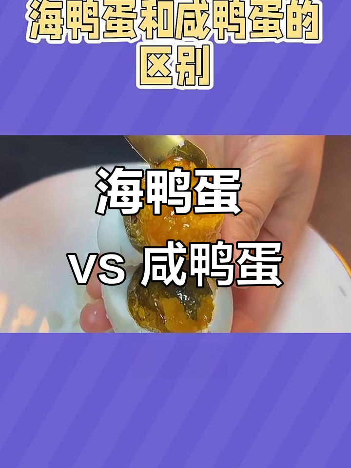 海鸭蛋与咸鸭蛋的区别,营养和口感大揭秘