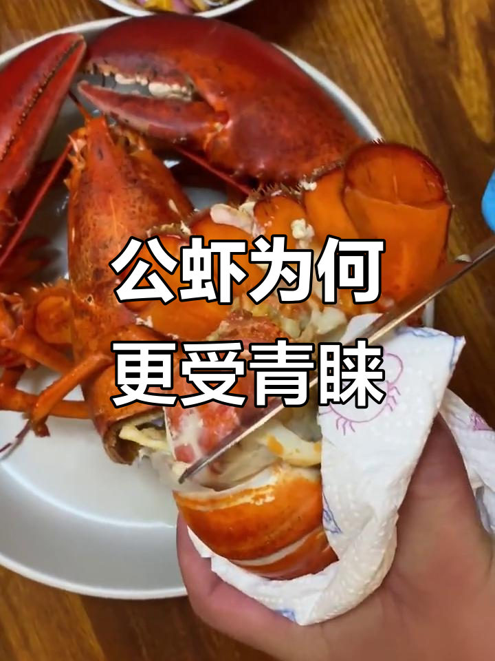 为什么公虾比母虾更受欢迎?揭秘原因和口感差异