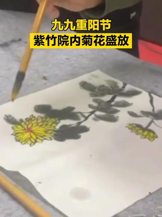 「九九重阳节,紫竹院内菊花盛放」秋天,正是菊花盛放的季节,而重阳节所在的月份也素有“菊月”