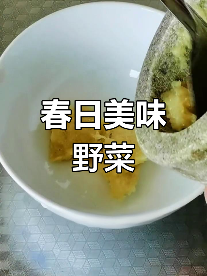春季野菜盛开,古扎菜口感鲜美,生长环境独特