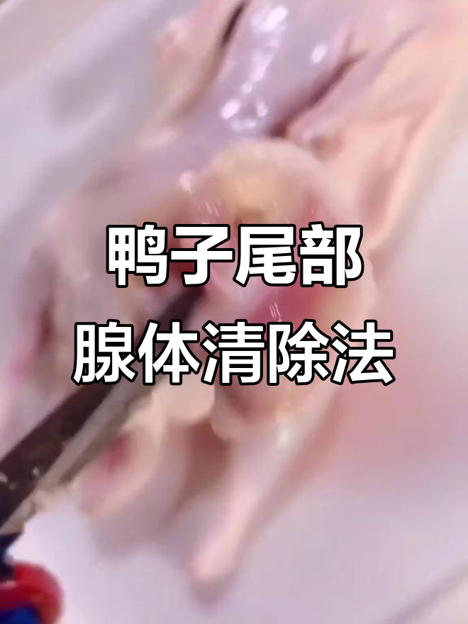 吃鸭肉时记得去尾腺,这个小技巧帮你轻松去除!
