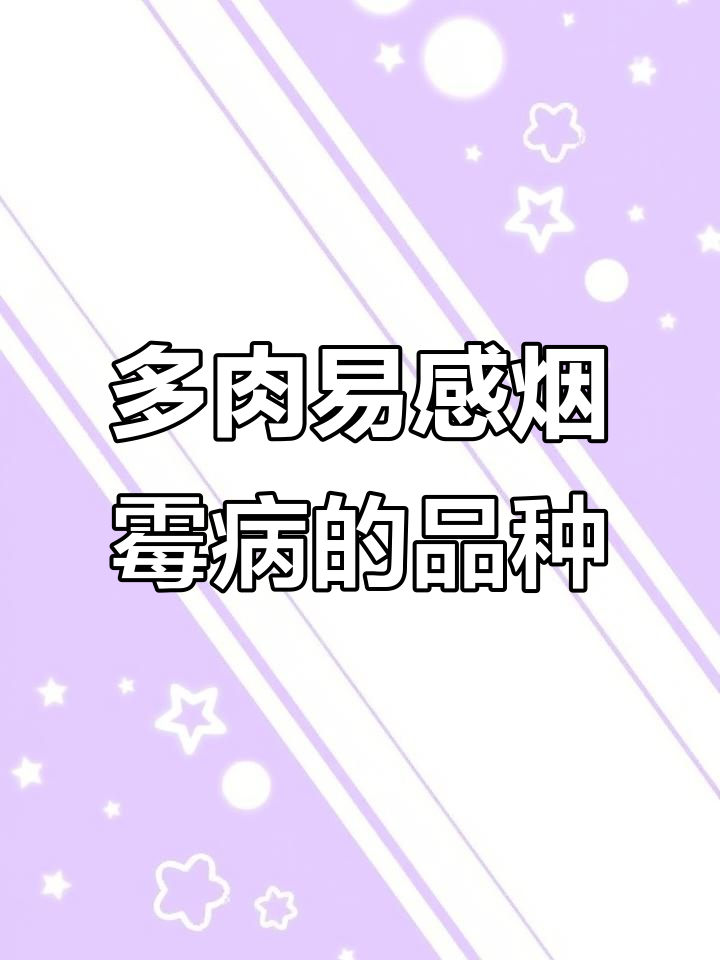 哪些多肉品种最容易得烟煤病?夏季养护小技巧揭秘