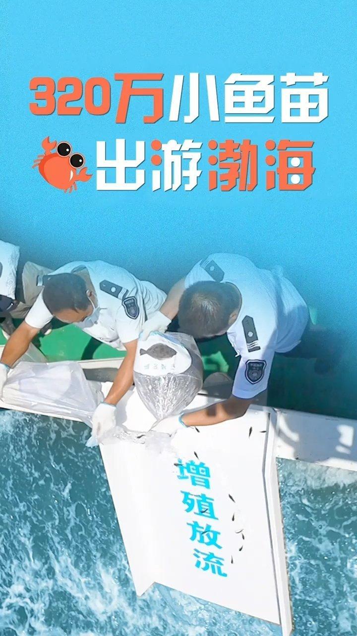「百姓看联播 丨 320万小鱼苗出游渤海」海风习习,浪花飞溅。跟随增殖放流的渔船,今天我们
