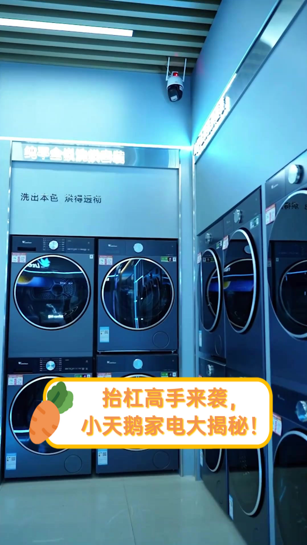 抬杠高手来袭,小天鹅家电大揭秘!