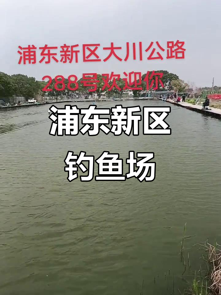 上海浦东钓鱼场推荐,休闲放松好去处