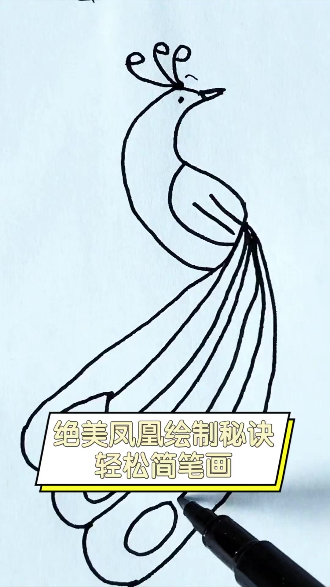 绝美凤凰绘制秘诀,轻松简笔画