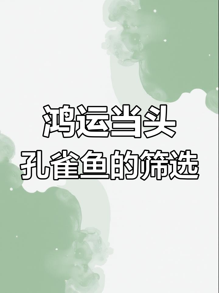 红运当头孔雀鱼基因稳定性揭秘,如何挑选优质种鱼