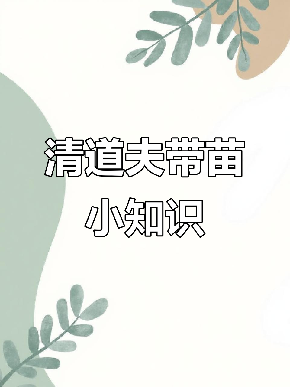 女王大帆清道夫苗子养殖经验分享,丰年虾开口技巧