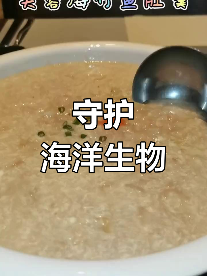 保护海洋生态,拒绝鱼翅与海竹羹,珍爱濒危动物