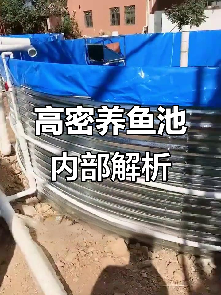镀锌板帆布鱼池内部结构揭秘，高密度养殖设计详解