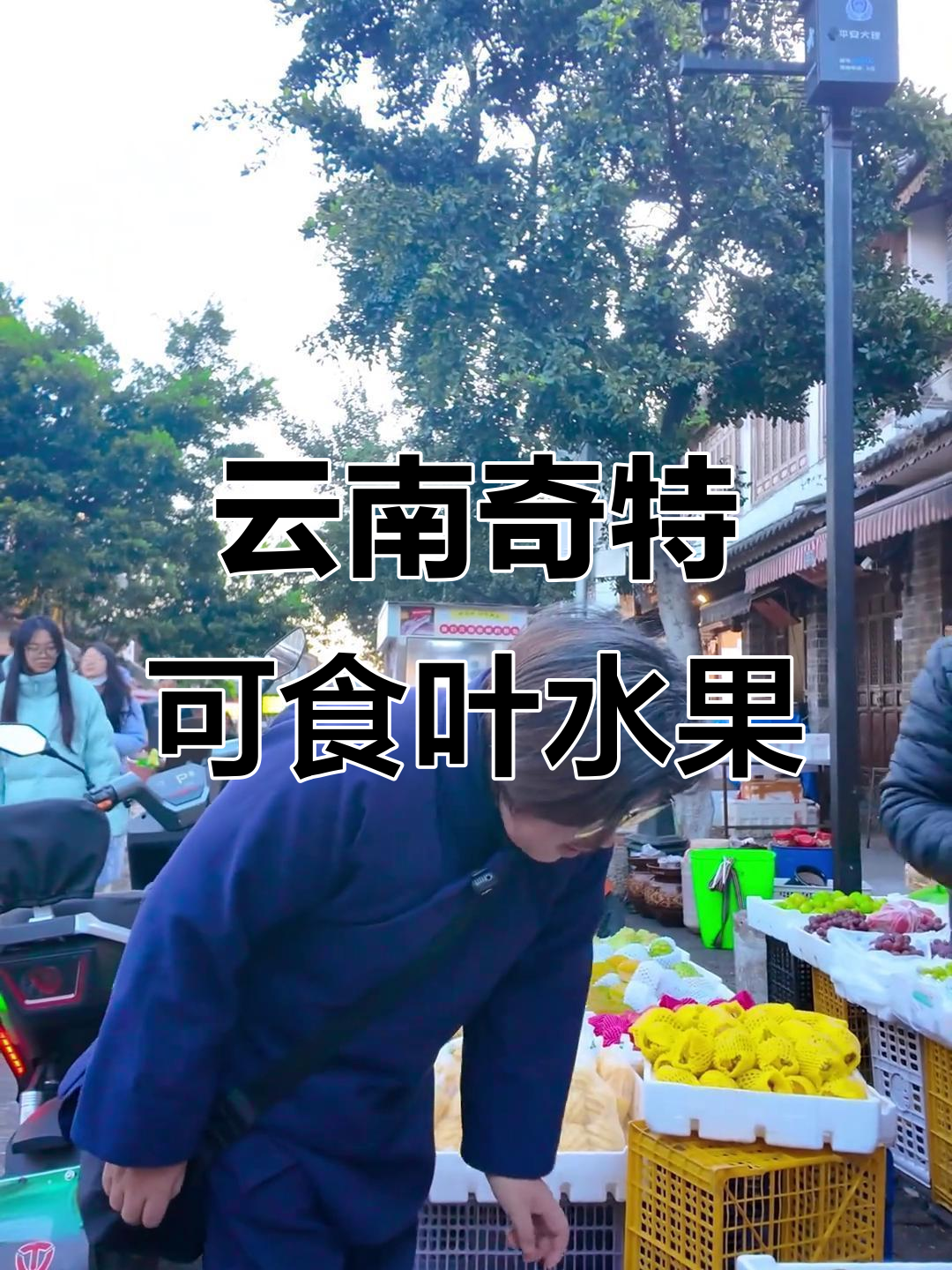 云南怪水果：叶子都能吃，红参果你尝过吗？