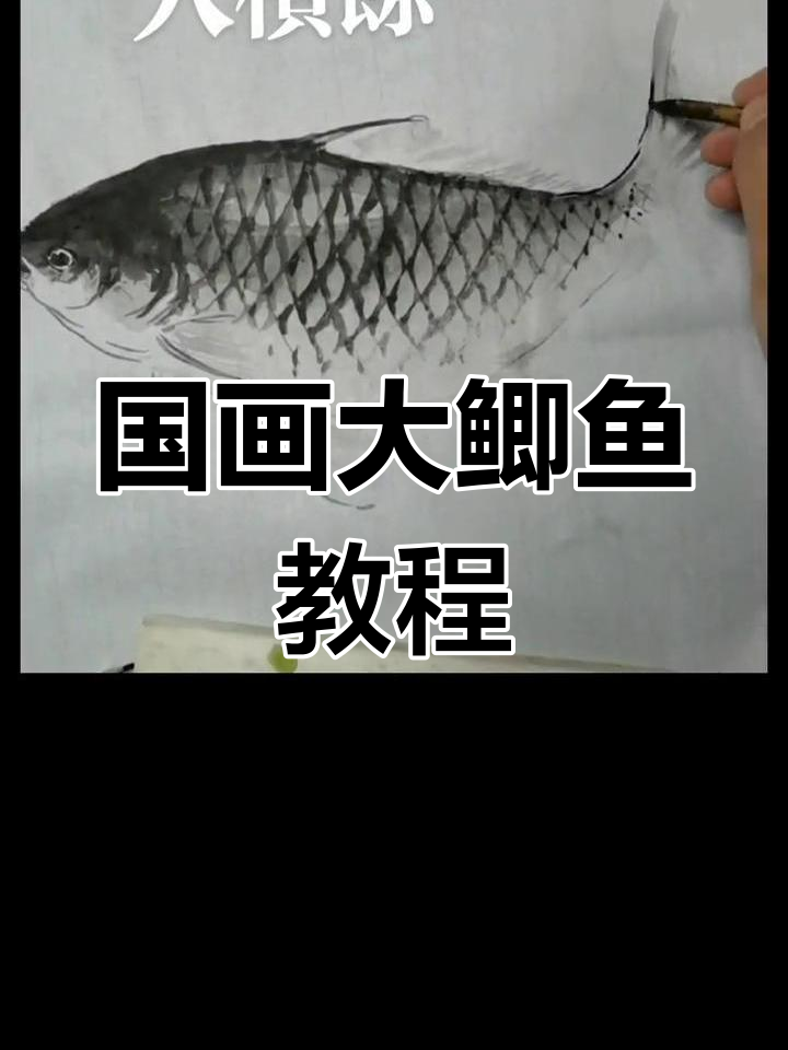 绘制国画鲫鱼技巧详解