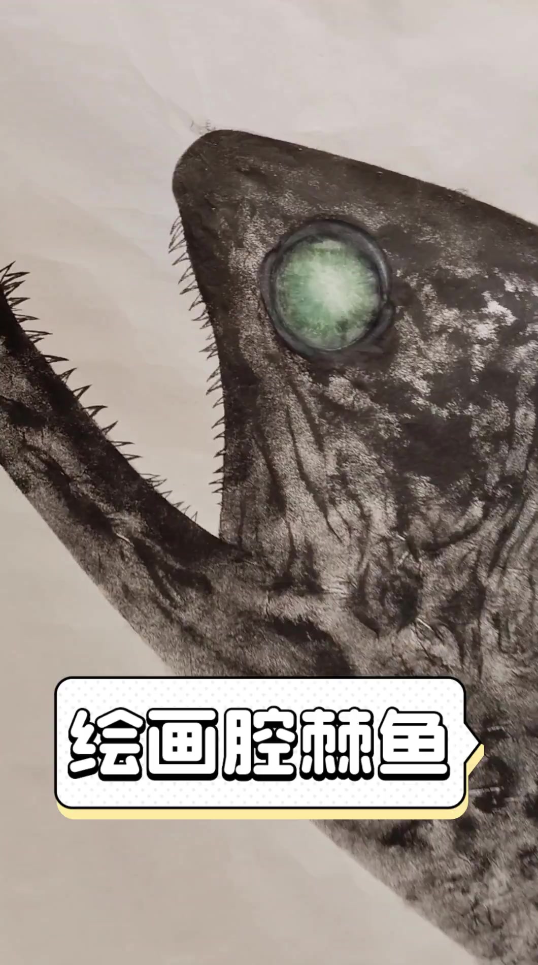绘画腔棘鱼