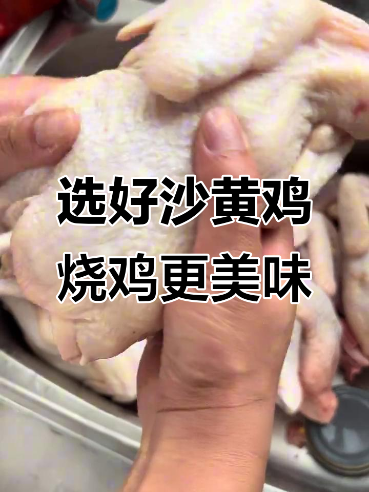 如何挑选烧鸡用的沙黄鸡?选对品种才能烤出完美脆皮