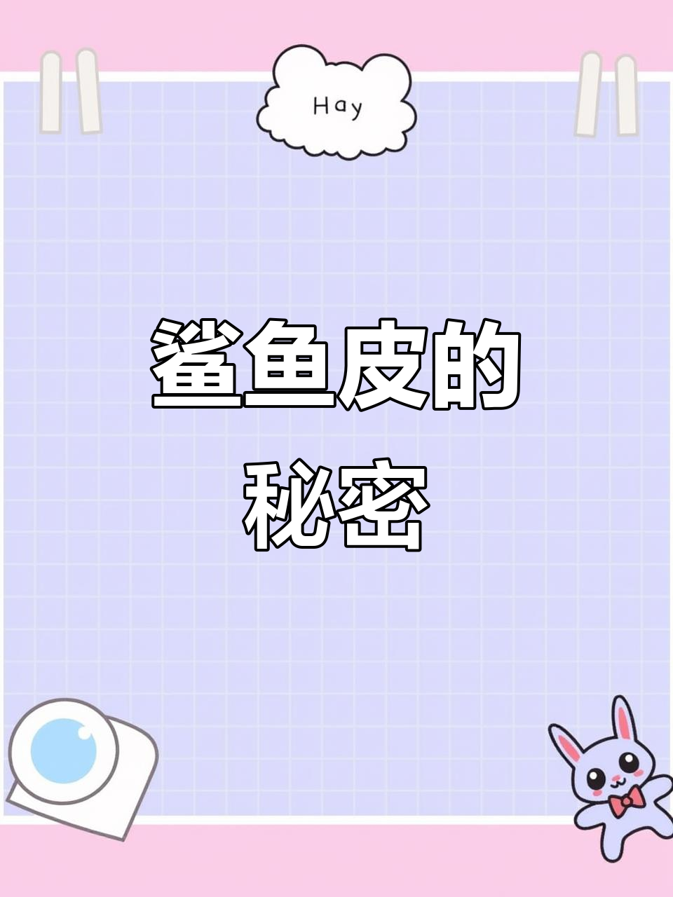 鲨鱼皮仿生学:揭秘减阻奥秘
