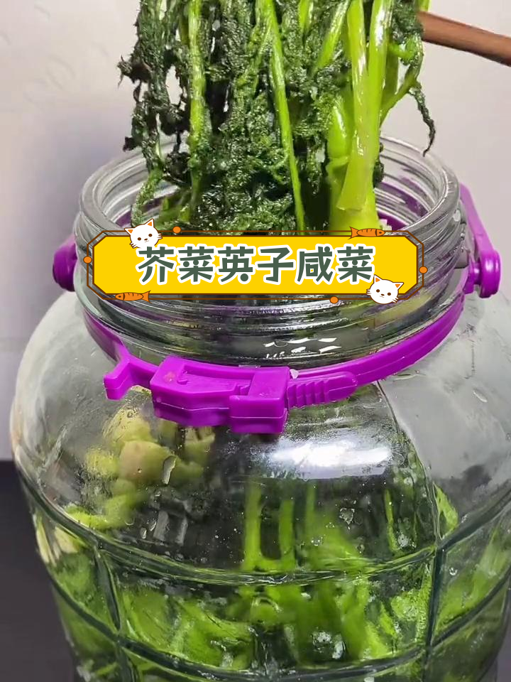 芥菜缨子腌制方法