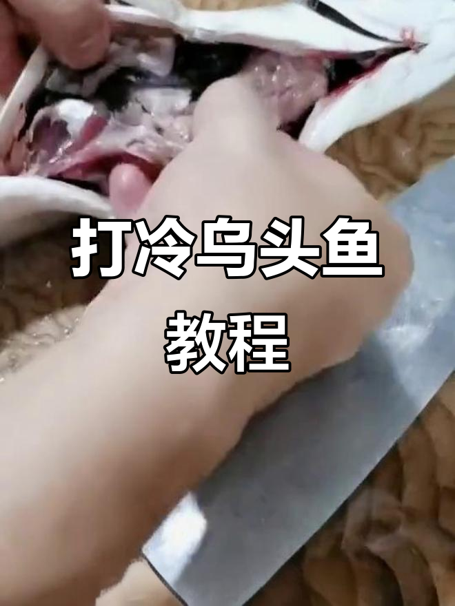 冷乌头鱼做法大揭秘,教你如何轻松做出美味佳肴