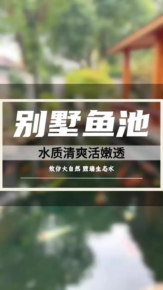 院有池塘,活色生香。别墅庭院里锦鲤池,水质清爽活嫩透!庭院鱼池 鱼池假山 鱼池设计施工 鱼