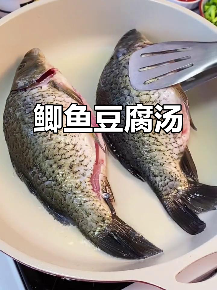广东家常鲫鱼豆腐汤,裙带菜加持更鲜美
