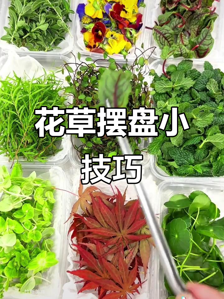 凉菜摆盘技巧大揭秘,花草装饰让菜品更诱人